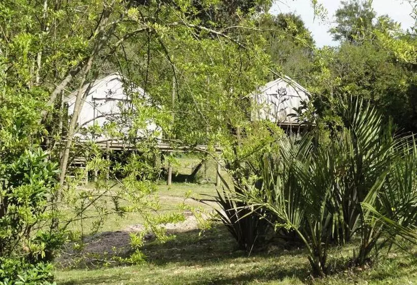 ホテル Pueblo Barrancas
