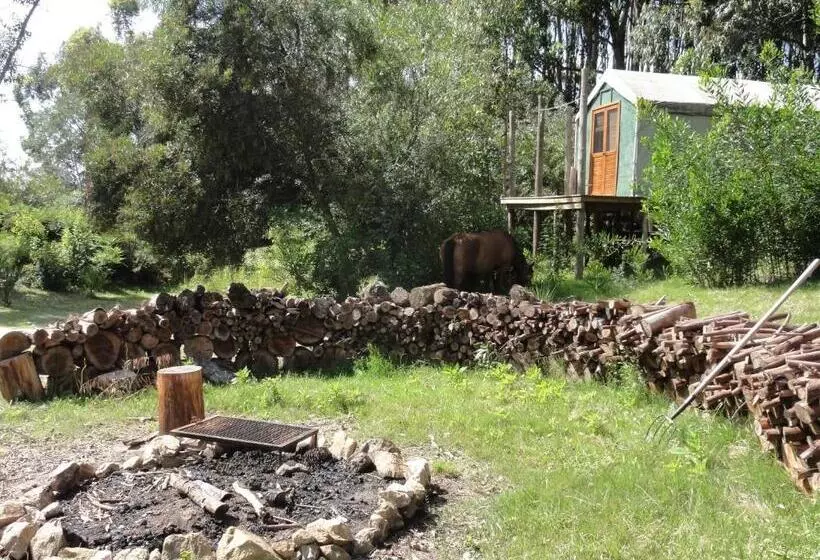 ホテル Pueblo Barrancas