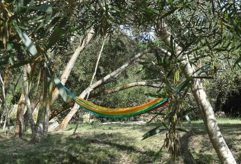 ホテル Pueblo Barrancas