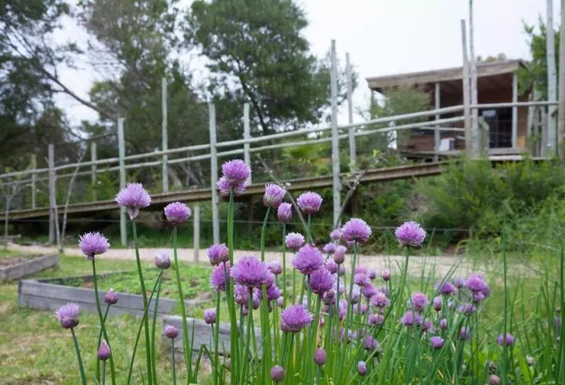 ホテル Pueblo Barrancas
