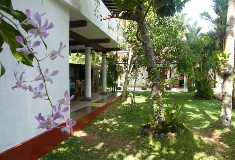 هتل White Bridge House & Resort