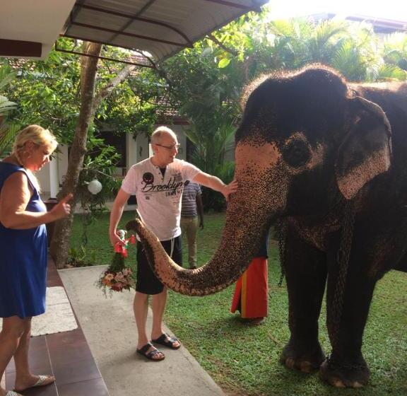 בית מלון כפרי White Bridge House & Resort