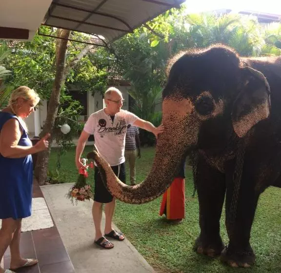 هتل White Bridge House & Resort