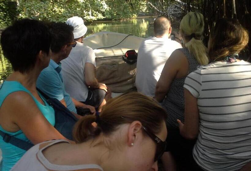 בית מלון כפרי White Bridge House & Resort