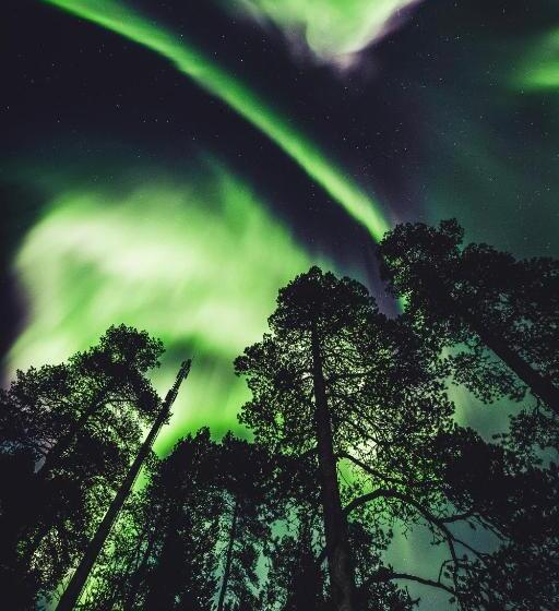 渡假胜地  Aurora Village Ivalo