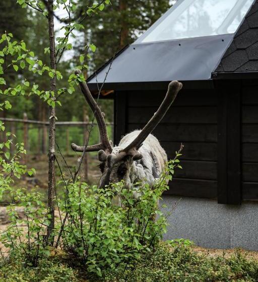 渡假胜地  Aurora Village Ivalo