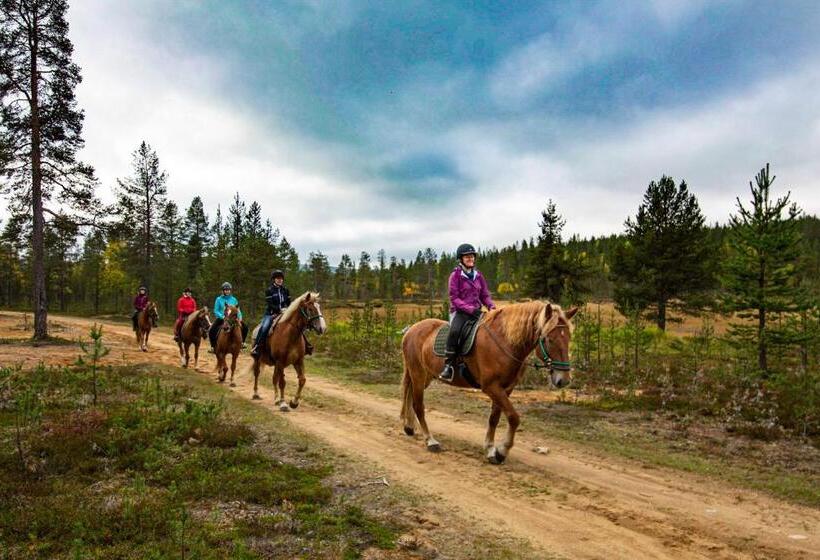 渡假胜地  Aurora Village Ivalo