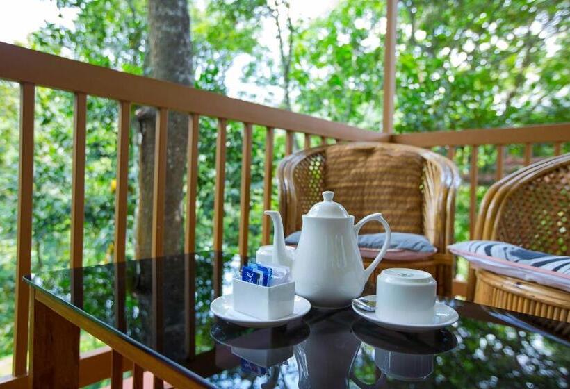 渡假胜地  Coffee Routes