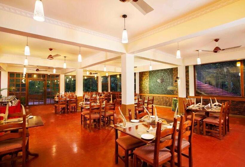 渡假胜地  Coffee Routes