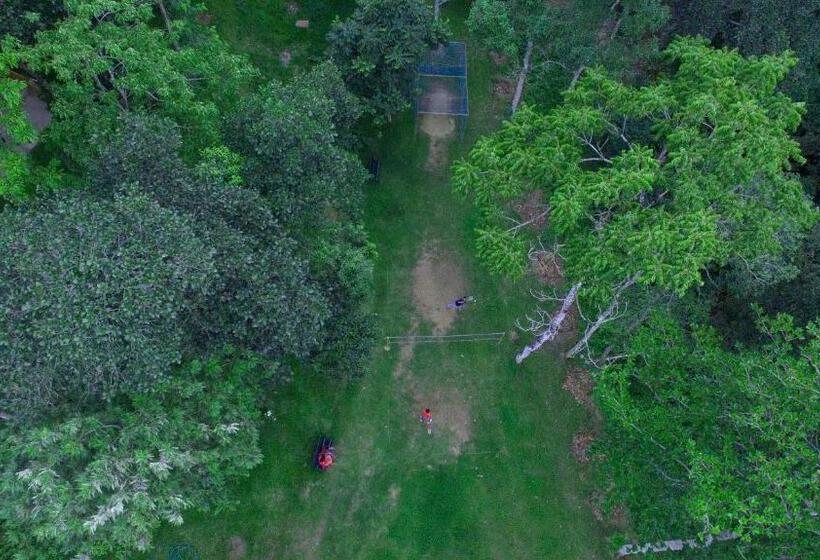 渡假胜地  Coffee Routes