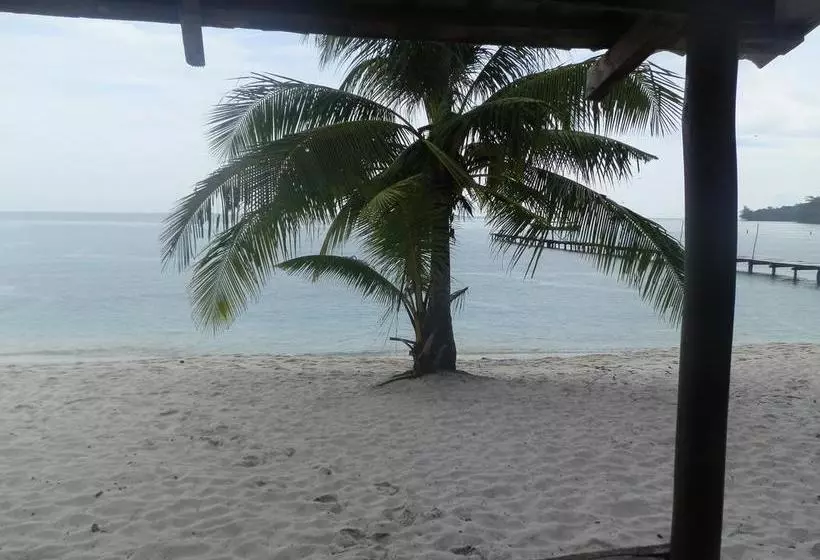 リゾートホテル Sok San New Beach Bungalow