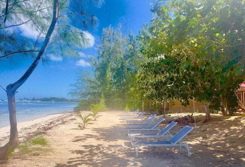 6 Villa Beachfront Resort Up To 12 Guests Or Individual Cabins