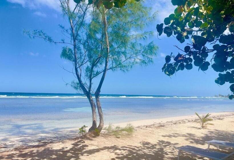 6 Villa Beachfront Resort Up To 12 Guests Or Individual Cabins