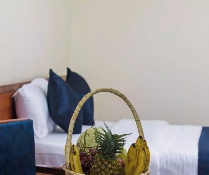 هتل The Nile Luxe