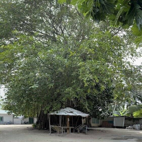 پانسیون Saima Guesthouse