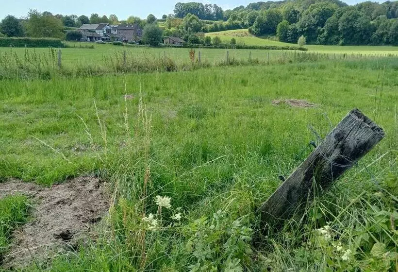 Aamiaismajoitus (B&B) Bnb Het Geluk Van Limburg