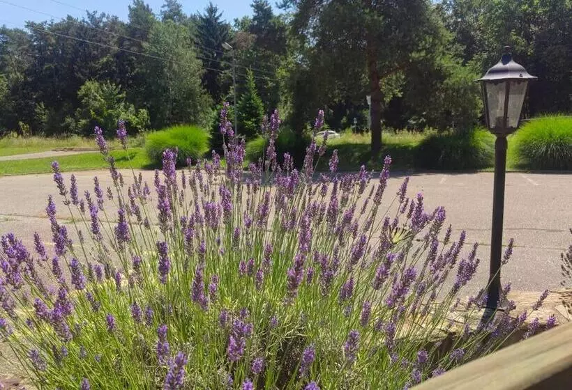 ベッドアンドブレックファースト Wow Sleeping