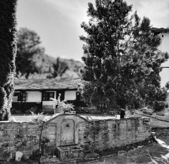 פנסיון хаджидимовата къща