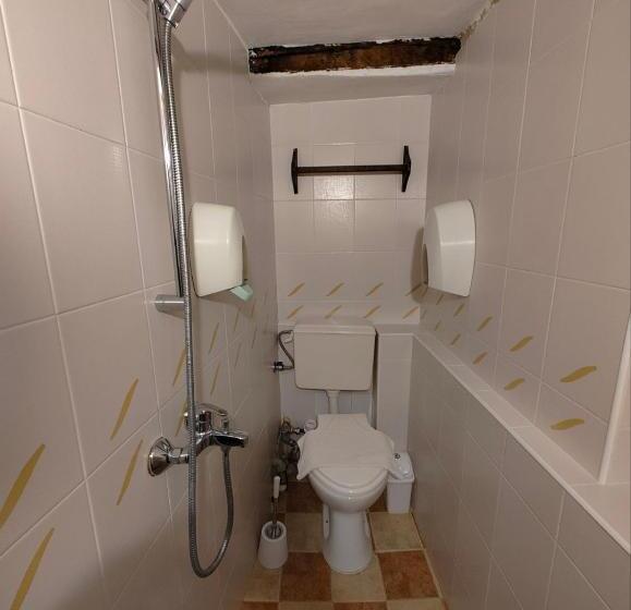 פנסיון хаджидимовата къща