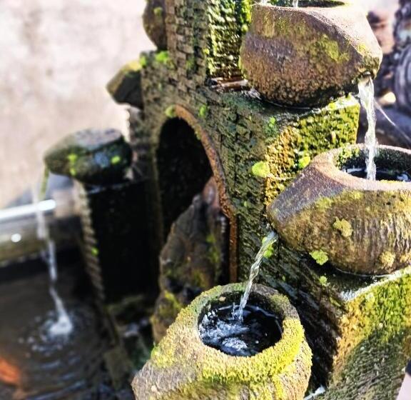 פנסיון Ambara Guest House