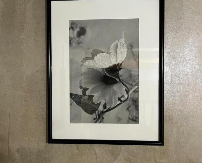 هاستل Eb5 Escape