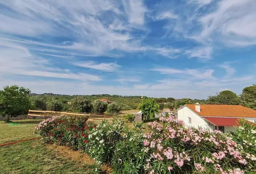 Aamiaismajoitus (B&B) Casadani Studio Inez, Tomar