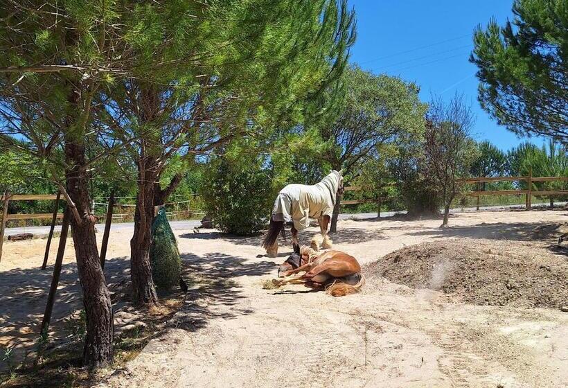 تختخواب و صبحانه Casadani Studio Inez, Tomar