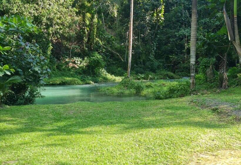 تختخواب و صبحانه Chateau Charme