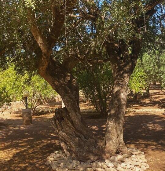 Отель Villa Apollonia   Blissful Garden Paradise With Pool Nestled In Nature