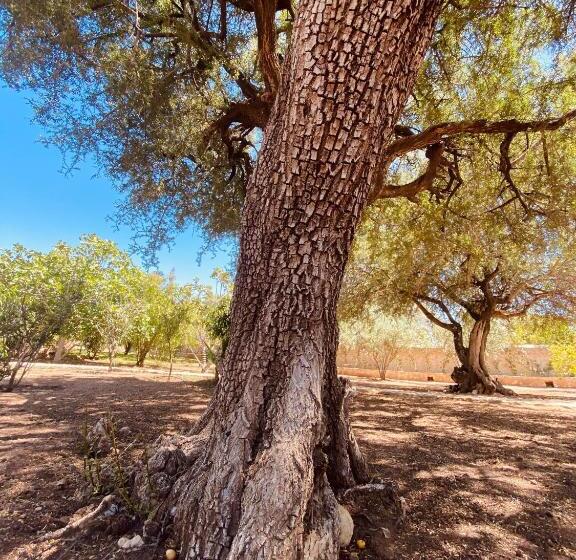 Отель Villa Apollonia   Blissful Garden Paradise With Pool Nestled In Nature