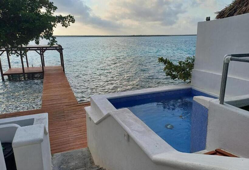 فندق Zensus Laguna