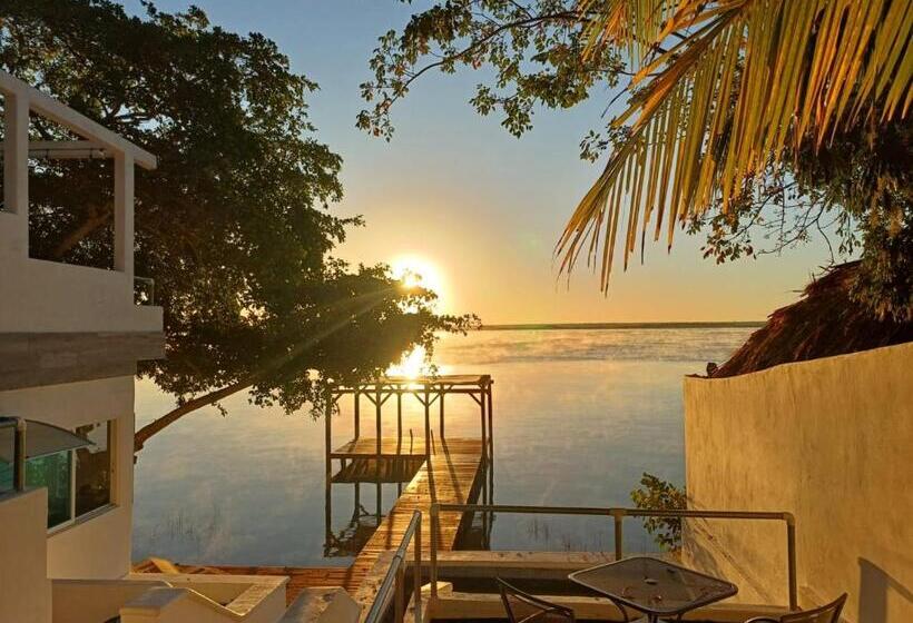 فندق Zensus Laguna