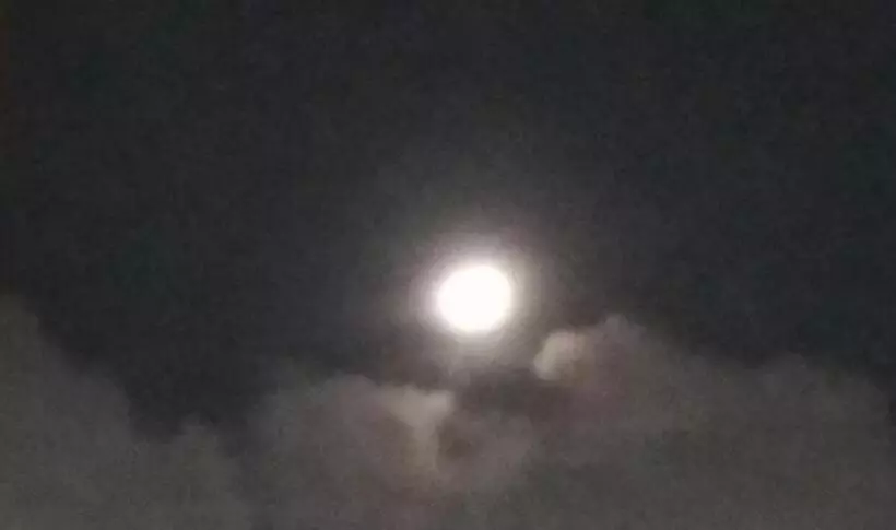پانسیون العجمي 21