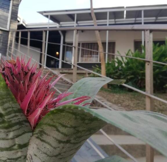 膳宿费 Esibayeni Guesthouse