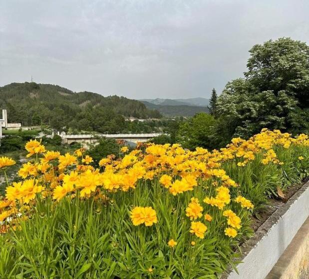 پانسیون Nina Guest House