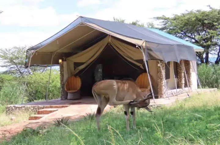 استراحتگاه Osono African Safari