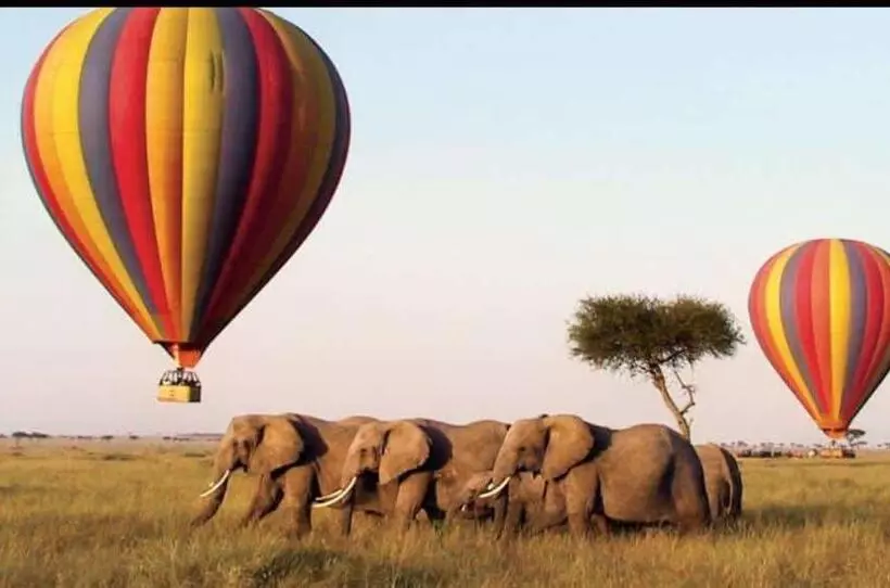 استراحتگاه Osono African Safari