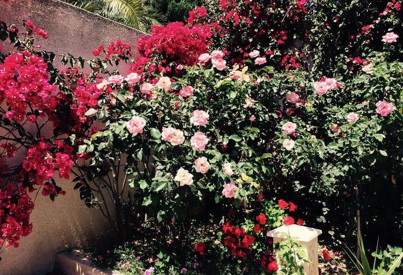 تختخواب و صبحانه Dar Khereddine