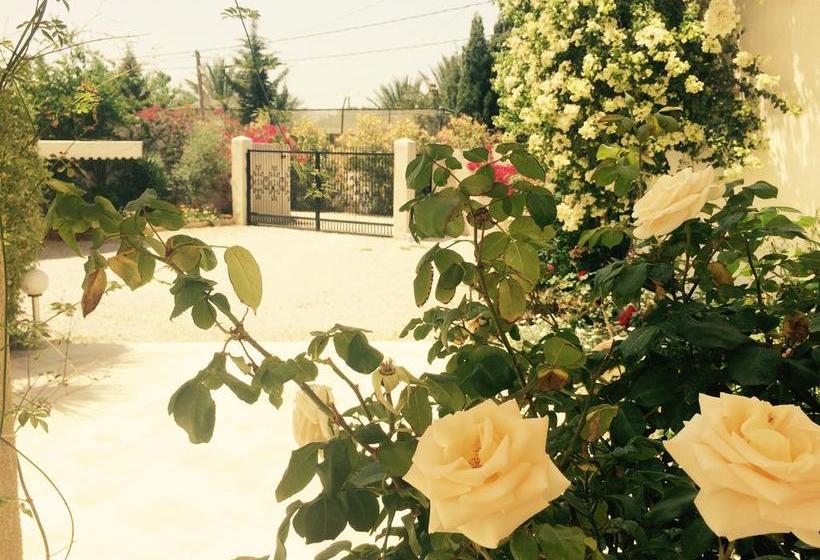 تختخواب و صبحانه Dar Khereddine