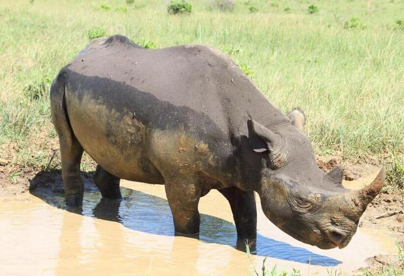 Bed and Breakfast Whalesong Guest House