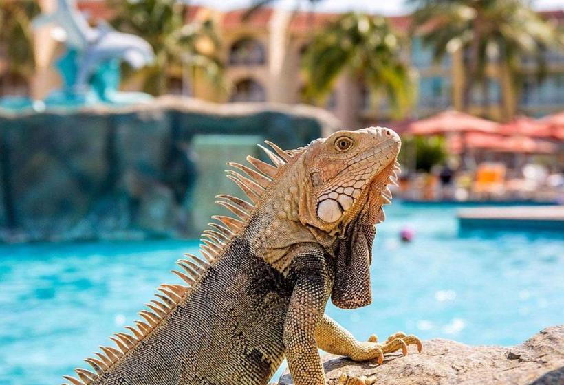 La Cabana Beach Resort & Casino