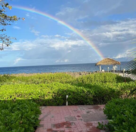 هتل Seagrape Plantation Resort & Dive Center