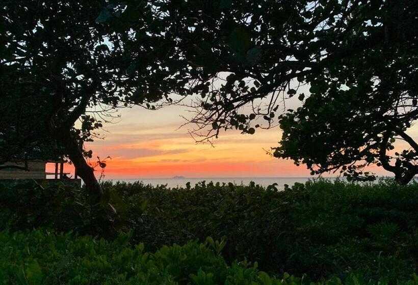 هتل Seagrape Plantation Resort & Dive Center