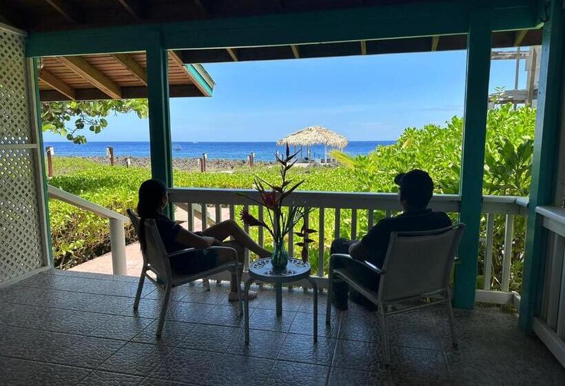 هتل Seagrape Plantation Resort & Dive Center