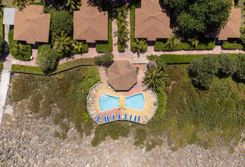 هتل Seagrape Plantation Resort & Dive Center