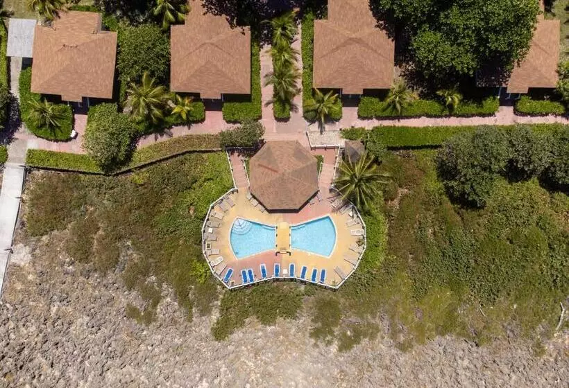 هتل Seagrape Plantation Resort & Dive Center
