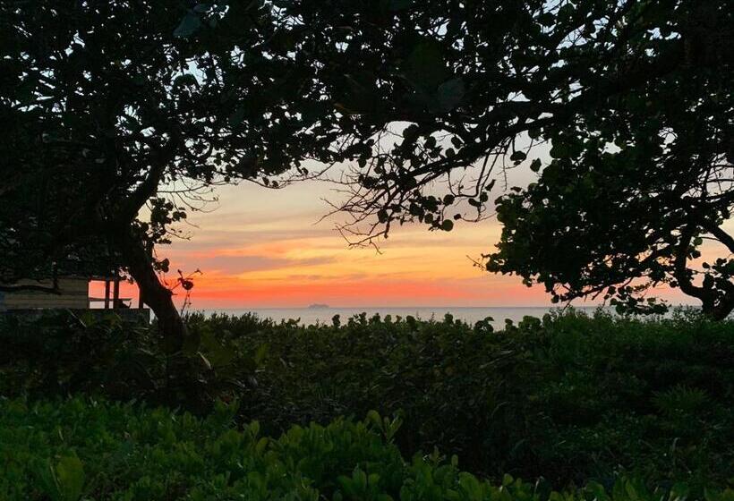 هتل Seagrape Plantation Resort & Dive Center