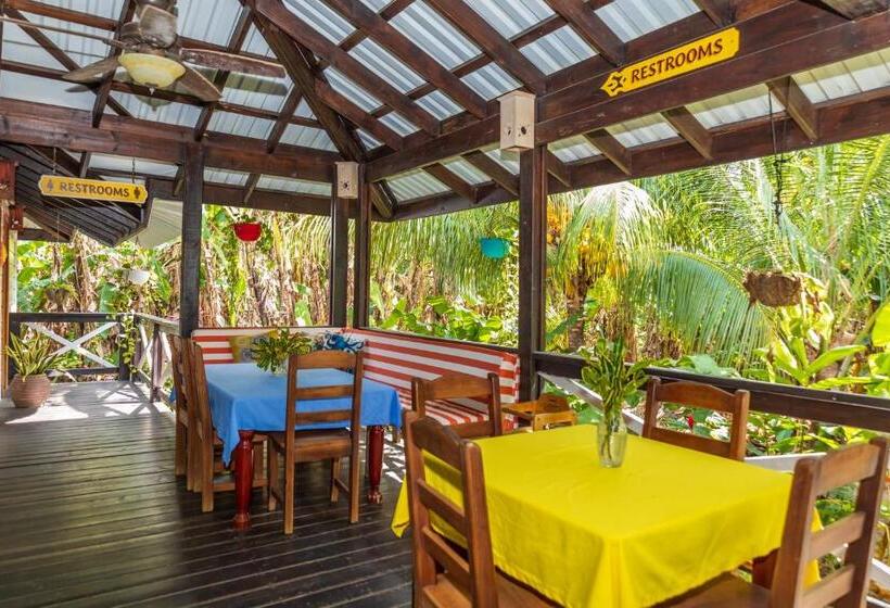 هتل Seagrape Plantation Resort & Dive Center