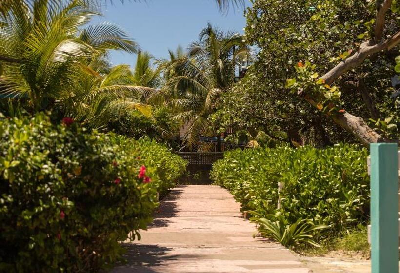 هتل Seagrape Plantation Resort & Dive Center