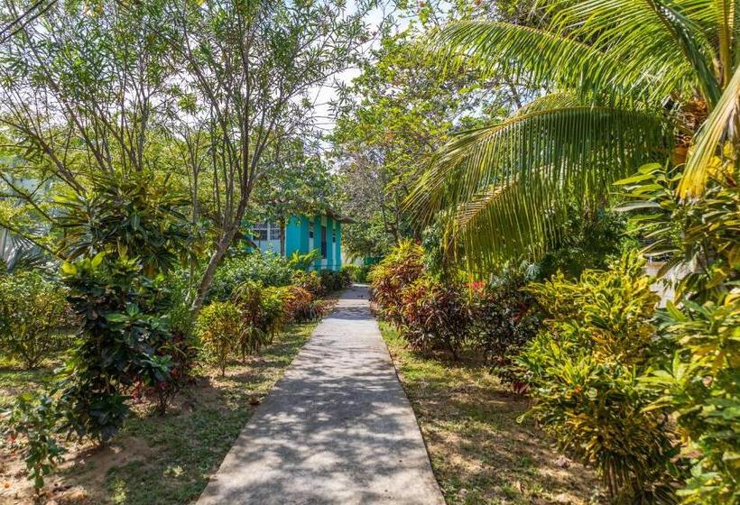 هتل Seagrape Plantation Resort & Dive Center